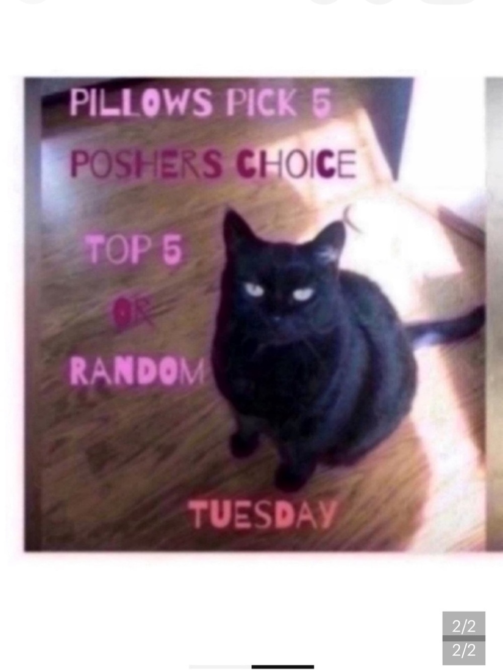 CLOSED 🐈⬛Pillows pick 5 - Picture 2 of 2